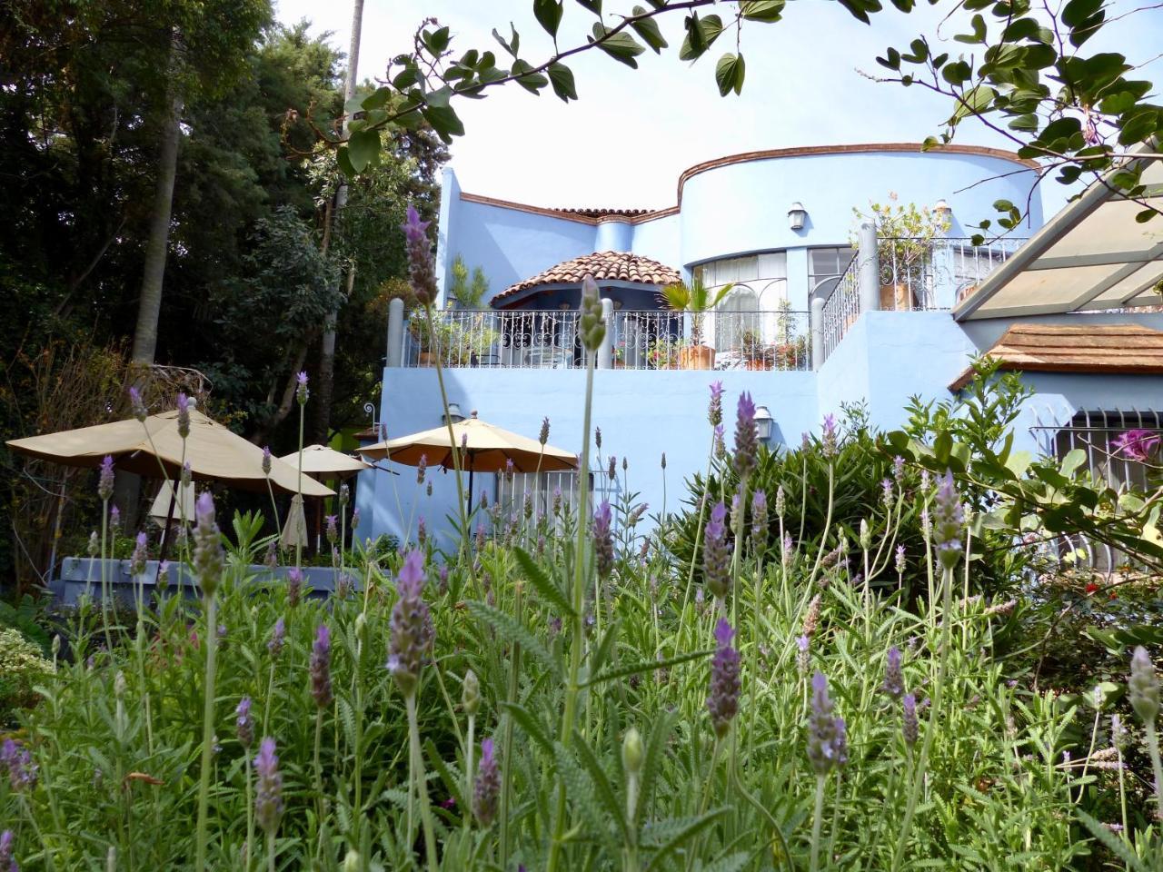 Casa Carly Hotel San Miguel de Allende Bagian luar foto
